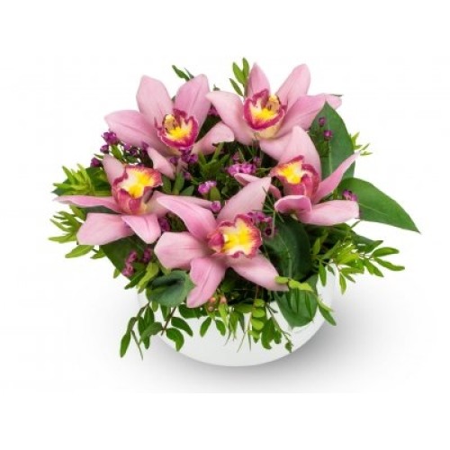 Box of flowers Elodi (Medium)
