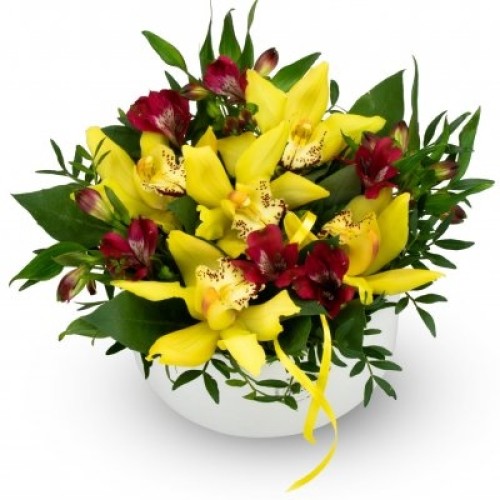 Box of flowers Rio (Medium)
