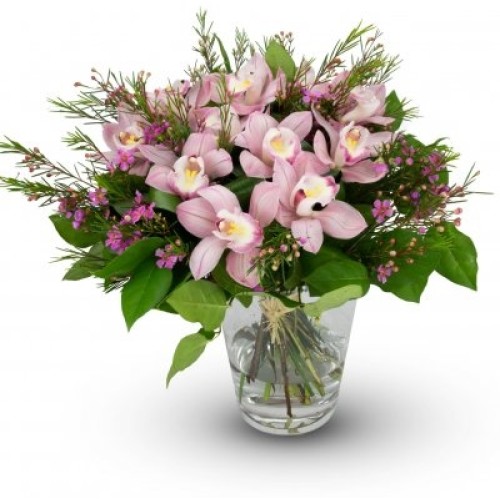 bouquet of GrÃ¢ce orchids (Small 7 blossoms)