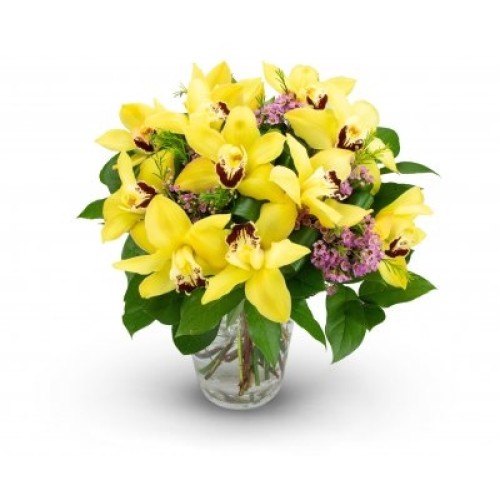 Cyrille (Small 7 Blossoms)