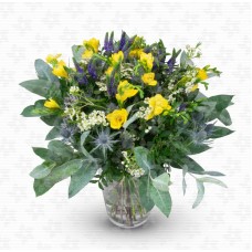 Octave - yellow freesia