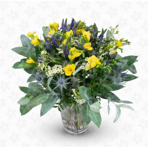 Octave - yellow freesia