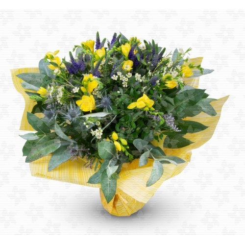 Provence - yellow freesia