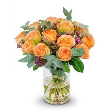 bouquet of Peach Clair roses (Small)