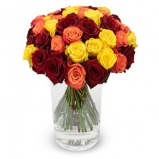 Alice (Large 50 Stems)
