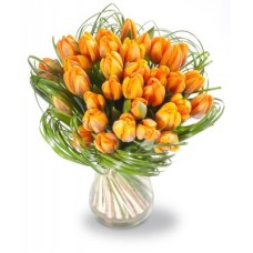 Matthias (Small 19 Stems)