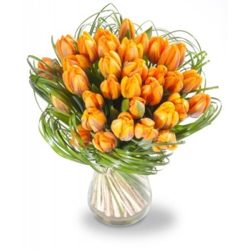 Matthias (Small 19 Stems)