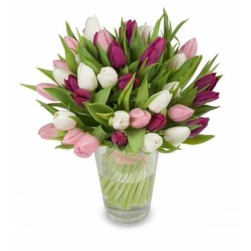 Mouriel (Small 21 pcs)
