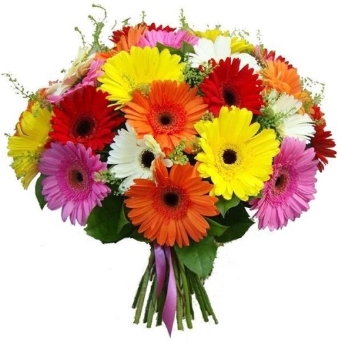 Fabulous Gerberas Bouquet (regular)