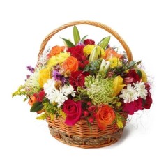 Love Cocktail Basket (Regular)