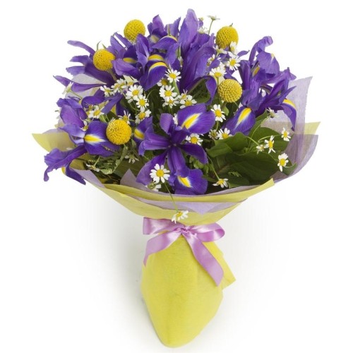 The Bluebird Bouquet (regular)