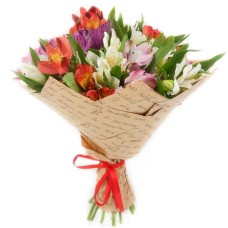 Alstroemerias Bouquet (multicolored / regular)