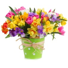 Spring Rainbow Bouquet