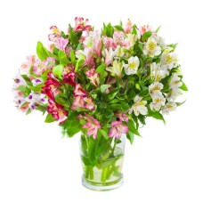Alstroemeria Touch Bouquet Alstroemeria Touch Bouquet