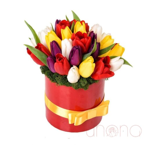 Box of Tulips Love's Wonder