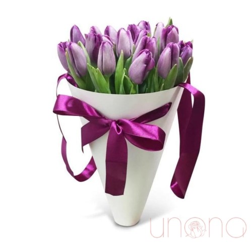 Cone-Shaped Box of Tulips Purple Blush (multicolored)