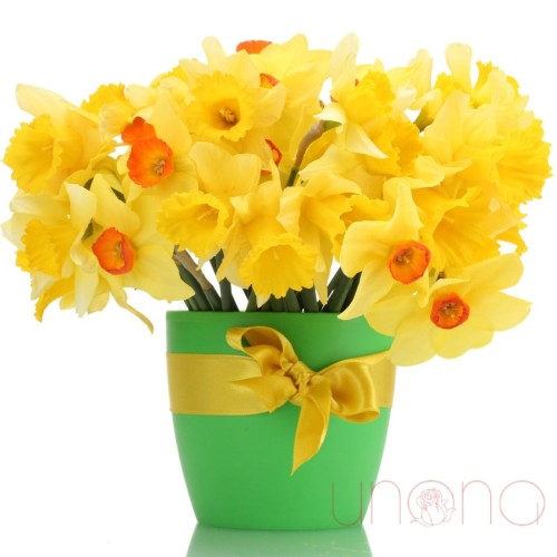 Delightful Daffodils Bouquet
