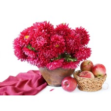 Fall Specials Gift Set