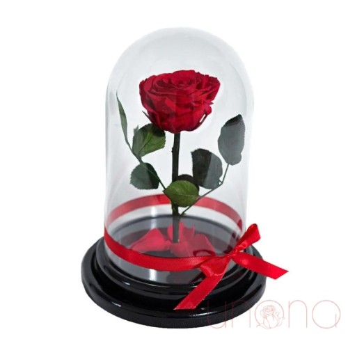 Long-Lasting Rose in a Flask