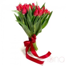 Magnificent Tulips Bouquet (red)