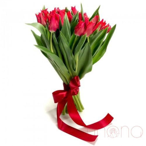 Magnificent Tulips Bouquet (red)