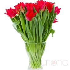 Tempting Tulips Bouquet