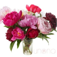 Vehement Love Peony Bouquet