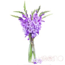 Violet Love Bouquet