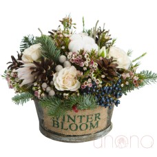 Winter Splendor Arrangement