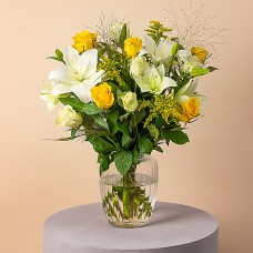 Lily Dream