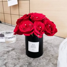 Valentine's Day Flower Valentine's Day Flower