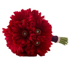 Red Gerbera Bouquet (36 Red Gerbera)