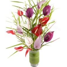 Mixed Anthurium In Vase