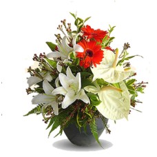 Anthurium, Gerbera and  Lily