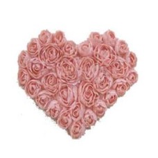 Peach Roses Heart (25 Roses)