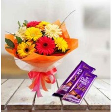 Mixed Gerbera With Chocolate