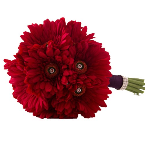 Valentine Red Gerberas (18 Red Gerberas)