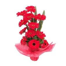 Valentine Red Gerbera Basket (18 Red Gerberas)