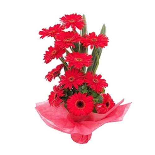Valentine Red Gerbera Basket (18 Red Gerberas)
