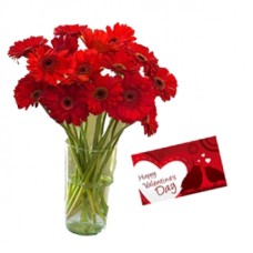 Valentine Red Gerberas Vase and Card