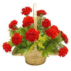 Valentine Red Carnation Basket (18 Flowers)
