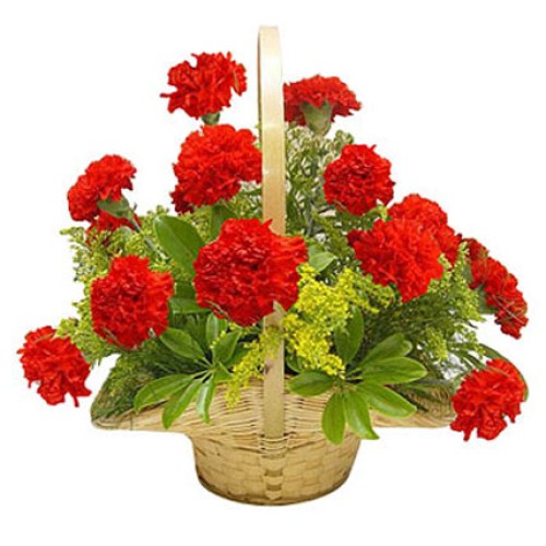Valentine Red Carnation Basket (18 Flowers)
