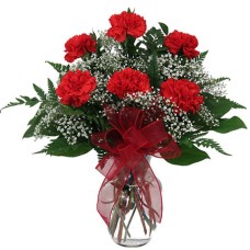 Valentine Red Carnation Vase (18 Flowers)