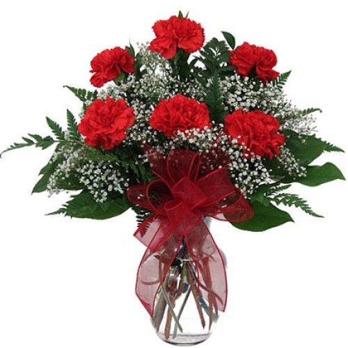 Valentine Red Carnation Vase (18 Flowers)