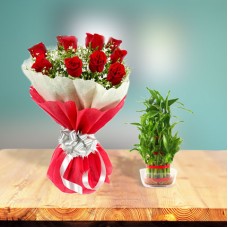 Lucky Bamboo Plant + Roses Combo