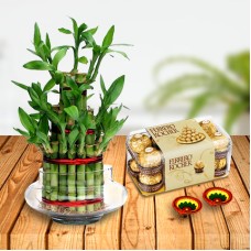 Lucky Bamboo Combo (Lucky Bamboo Plant Triple Layer, 16 Pcs Ferrero Rocher, 2 Diyas)