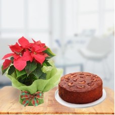 Plum Cake with Poinsettia Plant (1 Kg Plum Cake with Poinsettia Plant)