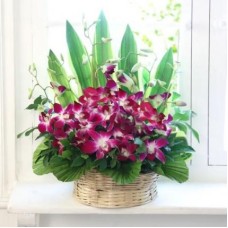 Mixed Gerbera Vase (18 Flower)