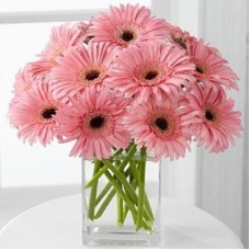 Pink Gerbera Vase (18 Flower)