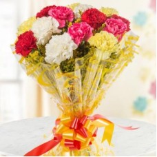 Mixed Carnations Bouquet (18 Flower)